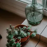 Apartamento L'agapanthe Avec Terrasse By Primo Conciergerie