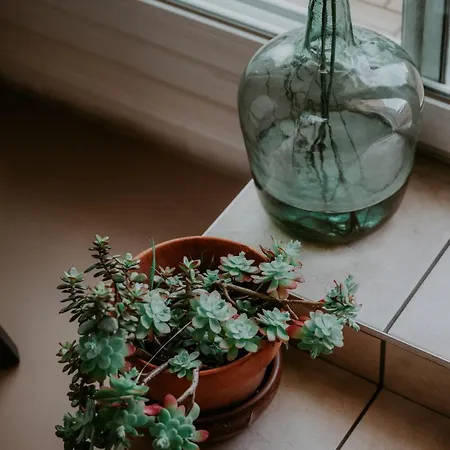 Apartment L'agapanthe Avec Terrasse By Primo Conciergerie