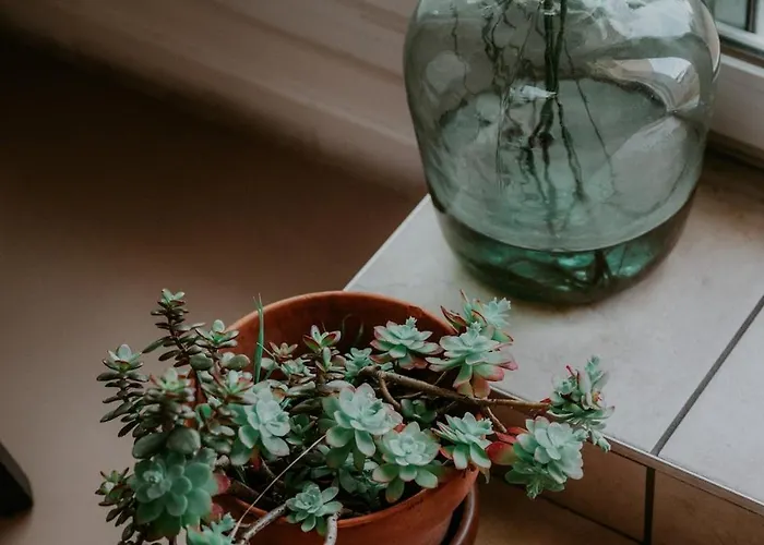 Apartamento L'agapanthe Avec Terrasse By Primo Conciergerie